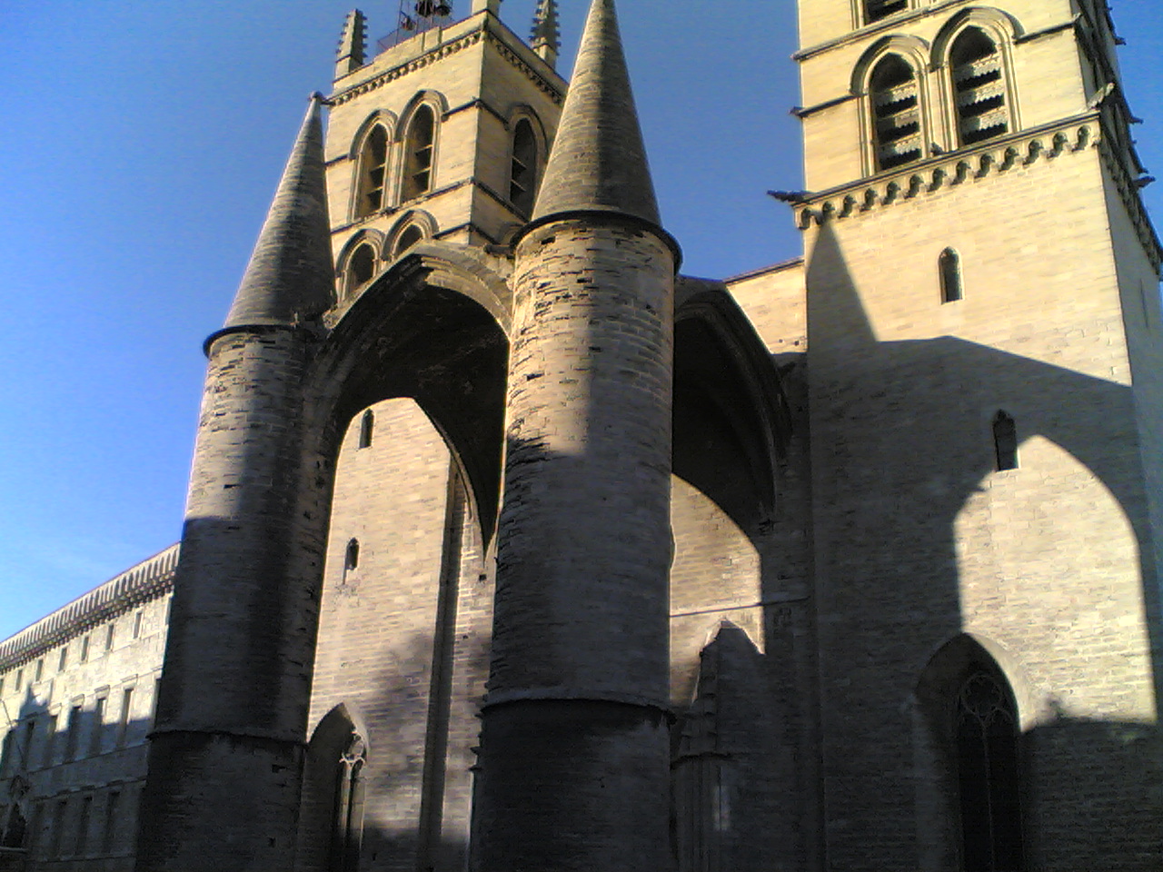 Montpellier/medicine university