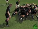 all blacks